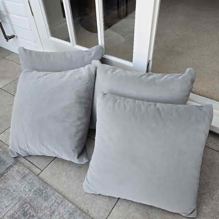 Photo of free Cushions (Pinefields CT6) #1