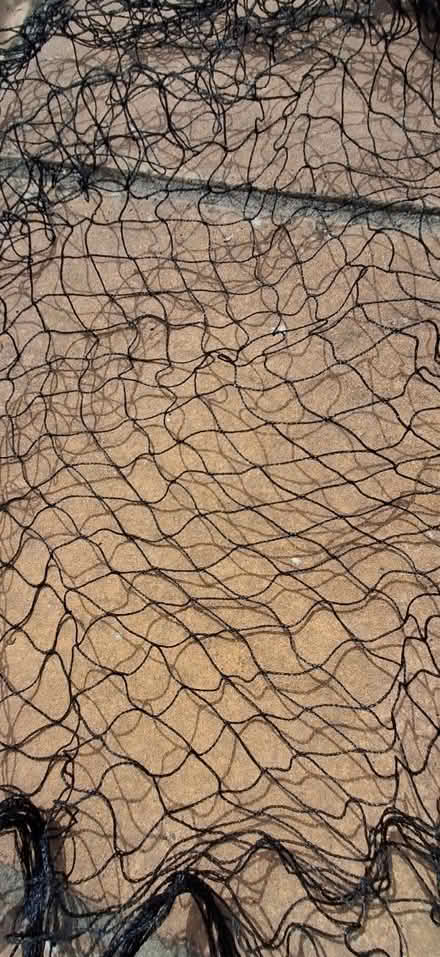 Photo of free Garden netting for Veg /Pond etc (Ipswich IP3) #4