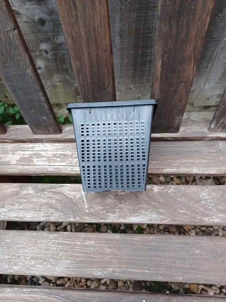 Photo of free Pond plant pot (Belper Town centre) #1