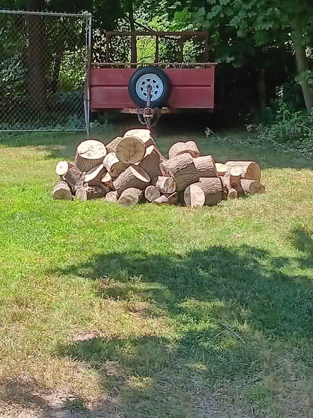 Photo of free Pile of logs (Haverhill MA) #1