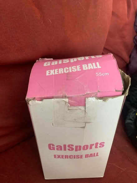 Photo of free Exercise ball (West Acton) #1
