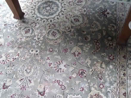 Photo of free large green rug (Neston CH64) #2