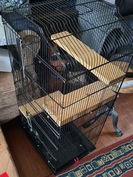 Photo of free Small animal cage 33x43x93cm tall (Warkton NN16) #1
