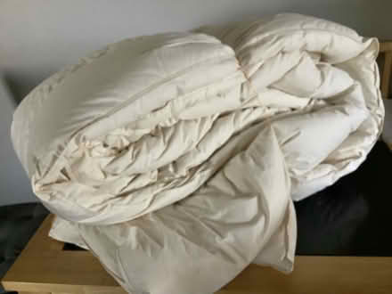 Photo of free Kingsize duvets (Holbrook DE56) #2