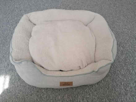 Photo of free Cat/Puppy bed (St. Martin's CT1) #2