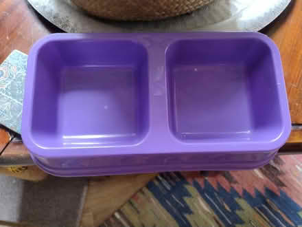 Photo of free Cat/dog double feeding bowls (New Town CO1) #1