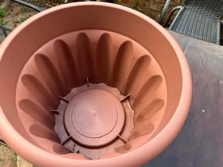 Photo of free Planter (Golden Triangle NR2) #3