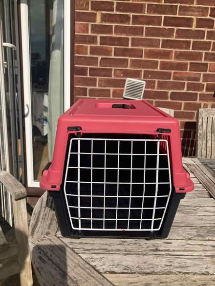 Photo of free Cat carriers (Brookman's Park AL9) #1