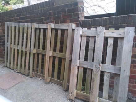 Photo of free Pallets (Firth Park S5) #3