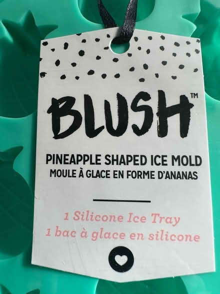 Photo of free Pineapple ice molds (Burlington) #2