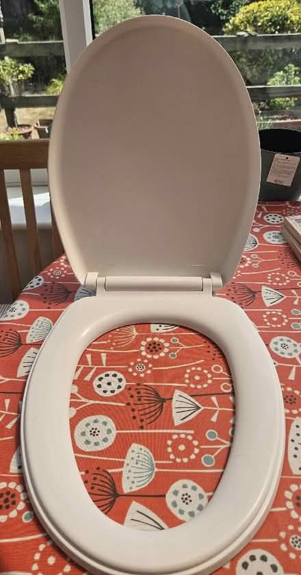Photo of free Brand new unused white plastic toilet seat (Cashes Green GL5) #2