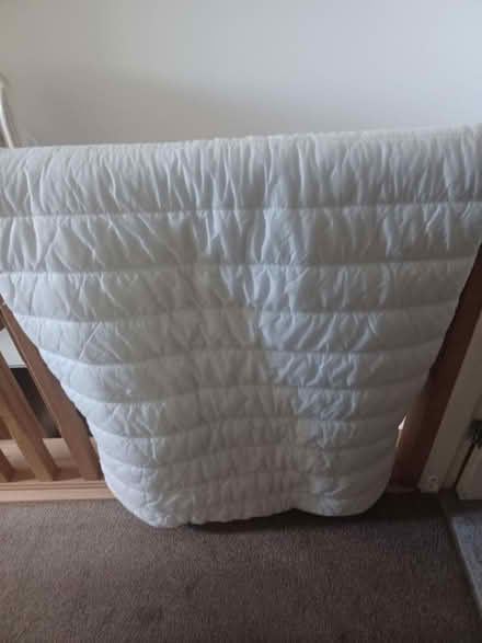 Photo of free Mattress topper (Whitmore Park Coventry CV6) #1