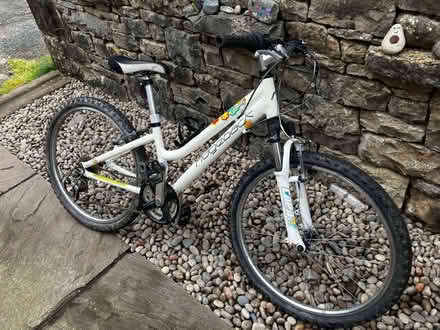 Photo of free Girls bike (Tebay CA10) #2