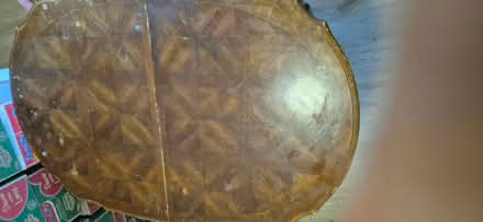 Photo of free Extendable dining table with chairs (IP33 3) #3