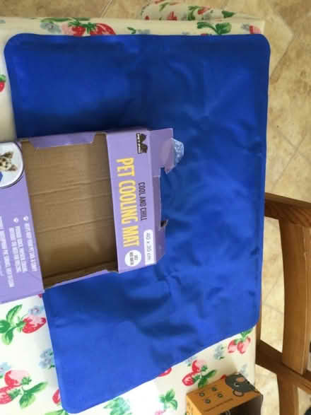 Photo of free Cooling mat for small cat (Amersham Common HP7) #1