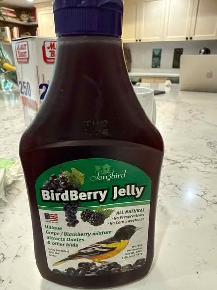 Photo of free Birdberry jelly for orioles (Winchester on Arlington line) #1