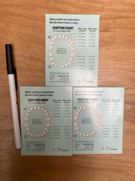 Photo of free Magnetic baby teeth eruption chart (Beaches) #1