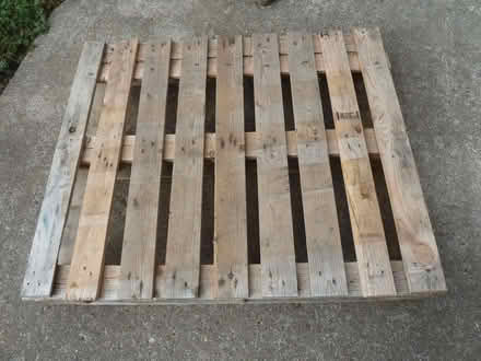 Photo of free Wooden pallets x 2 (Ellesmere SY12) #1