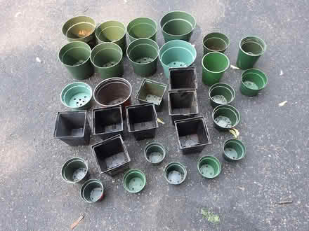 Photo of free FLOWER POTS for starting seeds, etc (Irondequoit near zoo.) #1