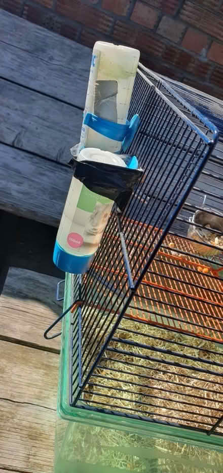Photo of free Gerbil Cage (Lockleaze BS7) #2