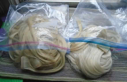 Photo of free Hair extensions (692 Tweedsmuir Avenue) #1