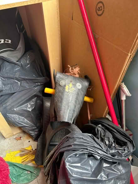 Photo of free Tire car swing (Bloor & Islington Subway area) #1