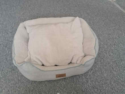 Photo of free Cat/Puppy bed (St. Martin's CT1) #1