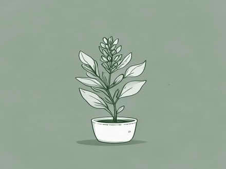 Photo of free Perennial Plant. (Broxbourne EN10) #1