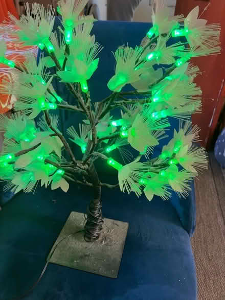 Photo of free Lights tree (Bramley LS13) #2