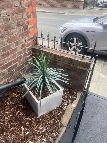 Photo of free Plant pots (Widnes) #1