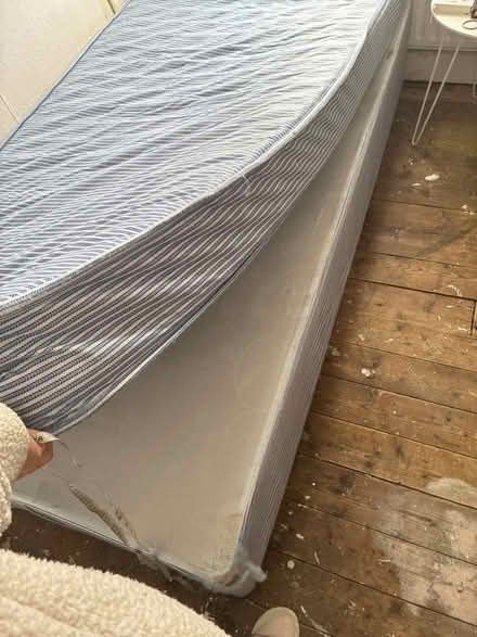 Photo of free Blue single bed (Walkden M28) #2
