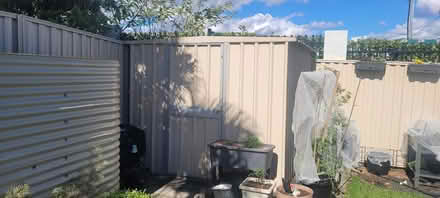 Photo of free Garden Shed (Logan village) #2