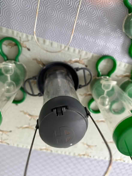 Photo of free 10 Bird Feeders (PR8, Birkdale) #3