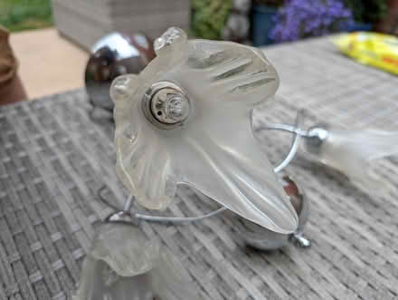 Photo of free Ceiling light fitting (Salph End MK41) #3