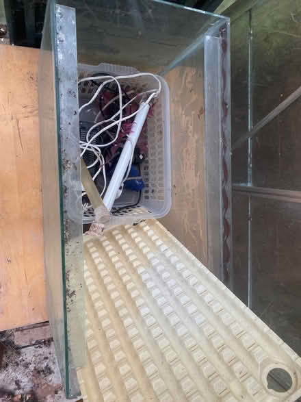 Photo of free Old fish tank (Kemsing TN15) #2