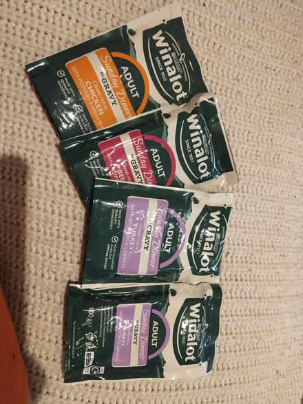 Photo of free Wet dog food (Egham TW20) #1