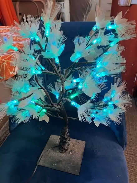Photo of free Lights tree (Bramley LS13) #3
