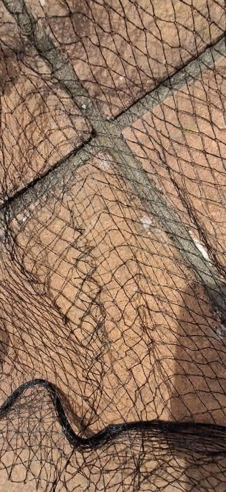 Photo of free Garden netting for Veg /Pond etc (Ipswich IP3) #3
