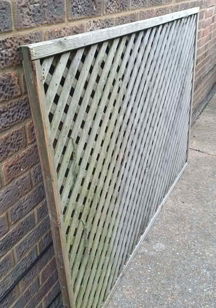 Photo of free 6' x 4' used fence panel (Royston SG8) #1