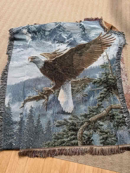 Photo of free Eagle throw blanket (Paramus) #1