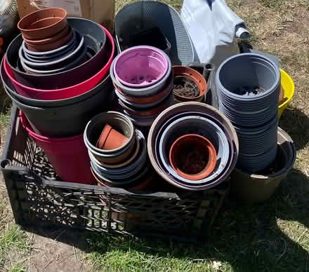 Photo of free Loads of plastic plant pots (SW12 Balham) #1