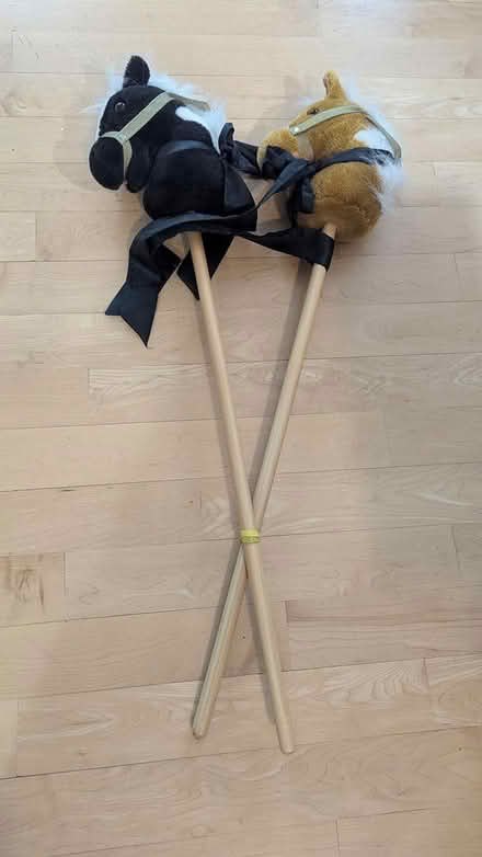 Photo of free 2 stick ponies (North Cambridge) #1