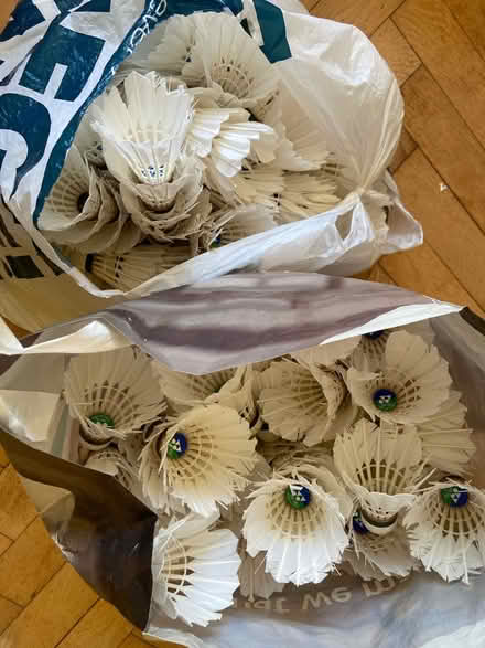 Photo of free Craft -Broken Feather Shuttlecocks (Napsbury AL1) #1