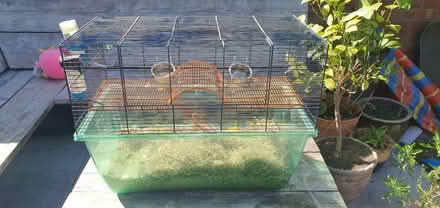 Photo of free Gerbil Cage (Lockleaze BS7) #4