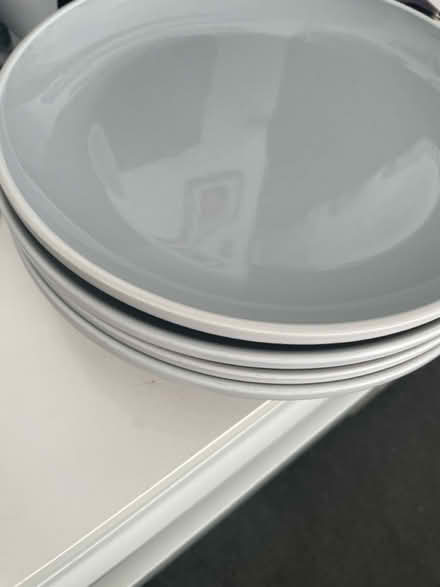Photo of free 5 plates (Morden SM4) #1