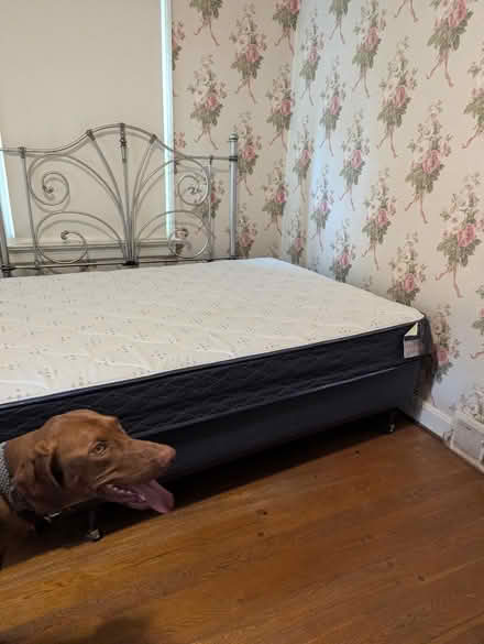 Photo of free box spring and mattress (200 block Hemingway Road 40207) #2