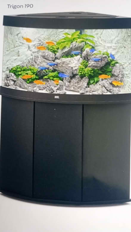 Photo of free Large fish tank (Dudbridge GL5) #1