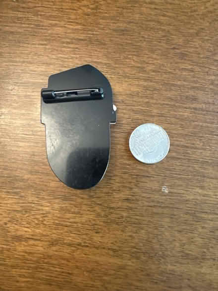 Photo of free Pin (fashion) (Palisades, NW, WDC) #2
