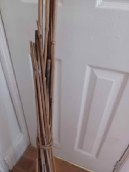 Photo of free Bamboo canes (Belper Town centre) #2