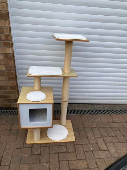 Photo of free Cat tree (Coombe Dingle BS9) #1